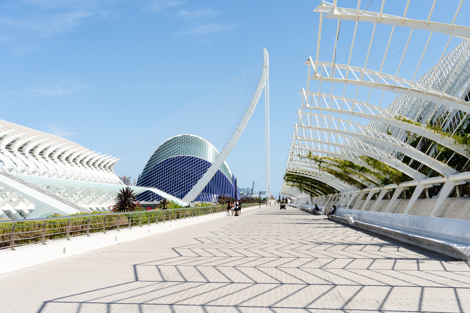 Ciudad de las Artes y las Ciencias